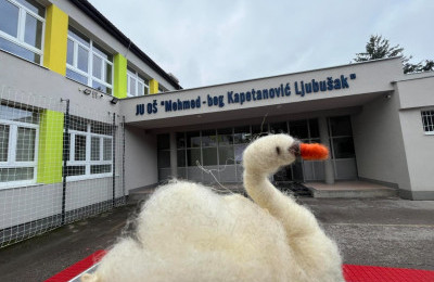 Dan kreativnosti i učenja u organizaciji Centra