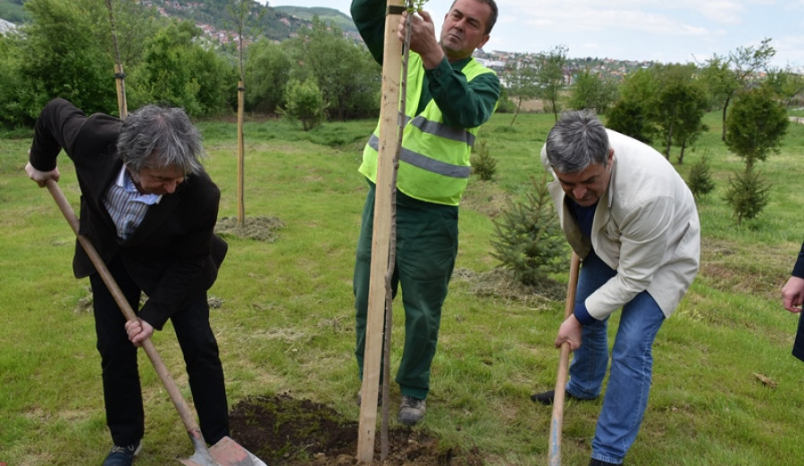 Ajnadžić i Resić sadnjom stabla ozvaničili početak eko projekta „Šuma života“