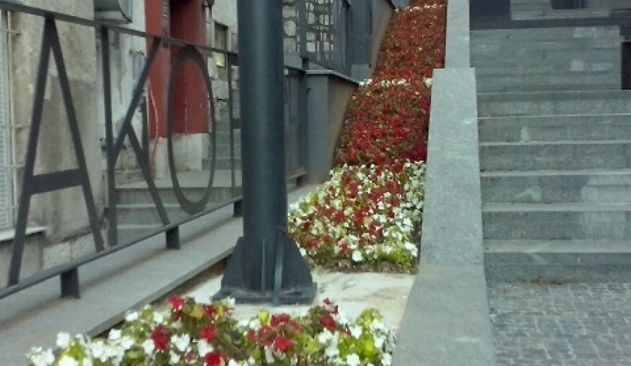 Uređena zelena površina uz stepenište u Pruščakovoj ulici