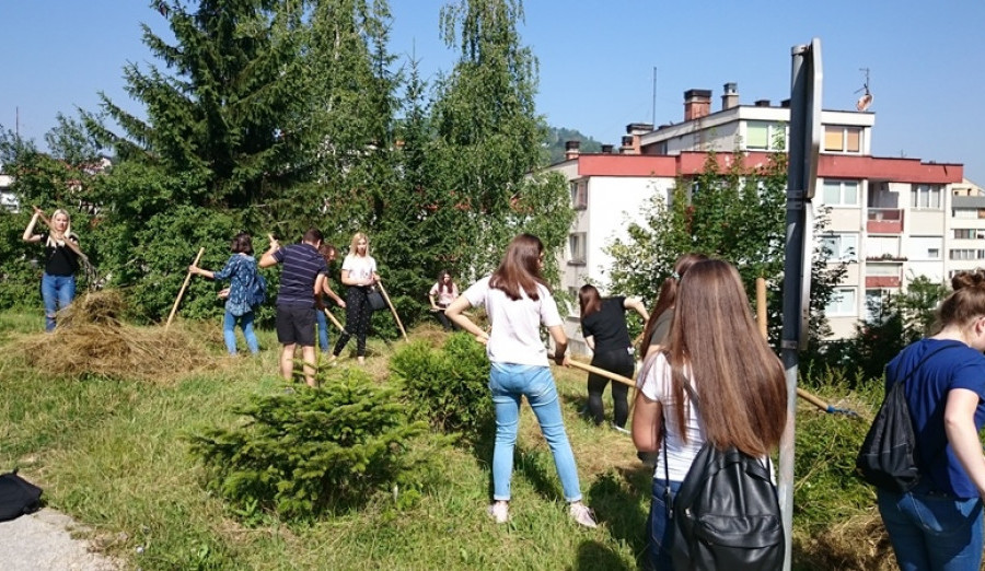 Srednjoškolci medicinske škole sa Jezera čistili Koševsko brdo