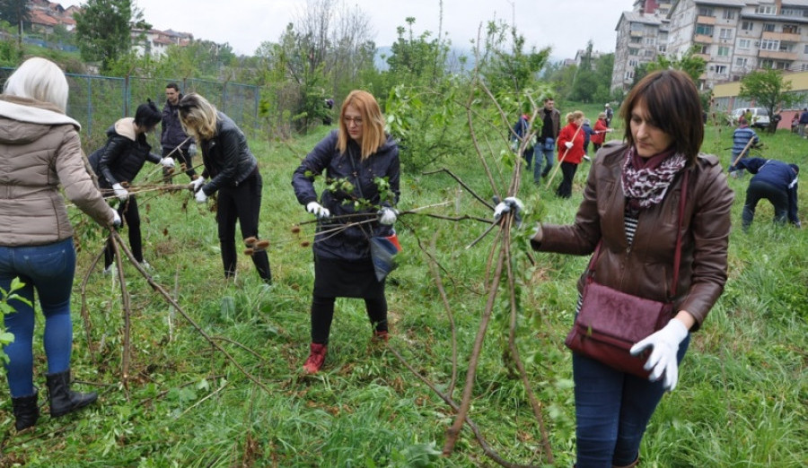 Sutra eko akcija čišćenja korita potoka Sušica na Koševskom brdu